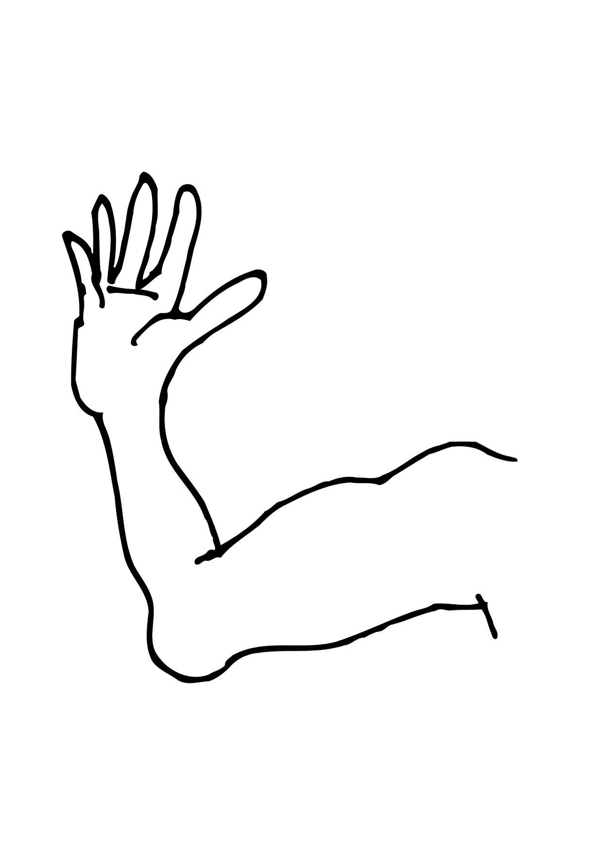 le bras Coloriage le bras