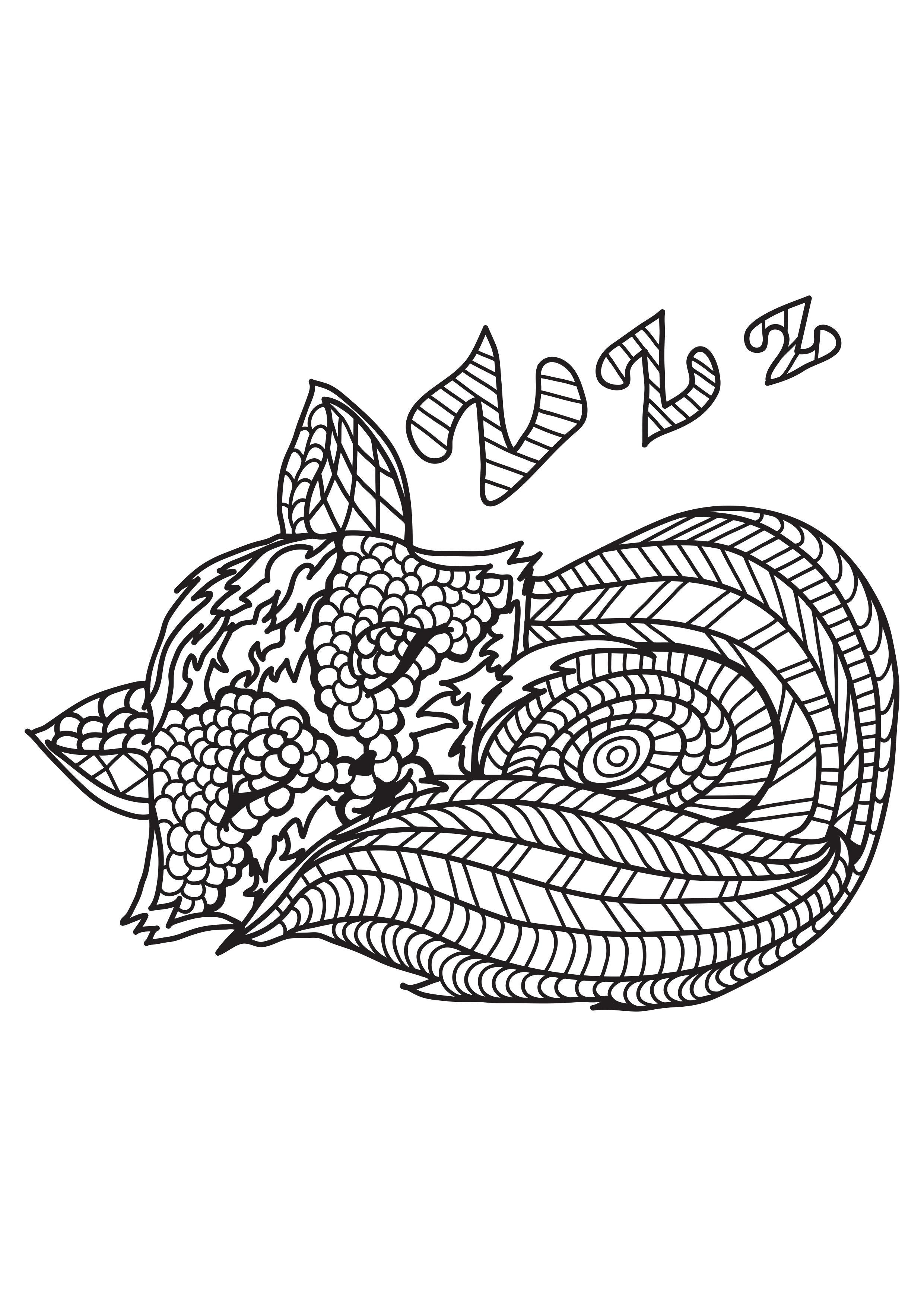 le chat dort Coloriage le chat dort