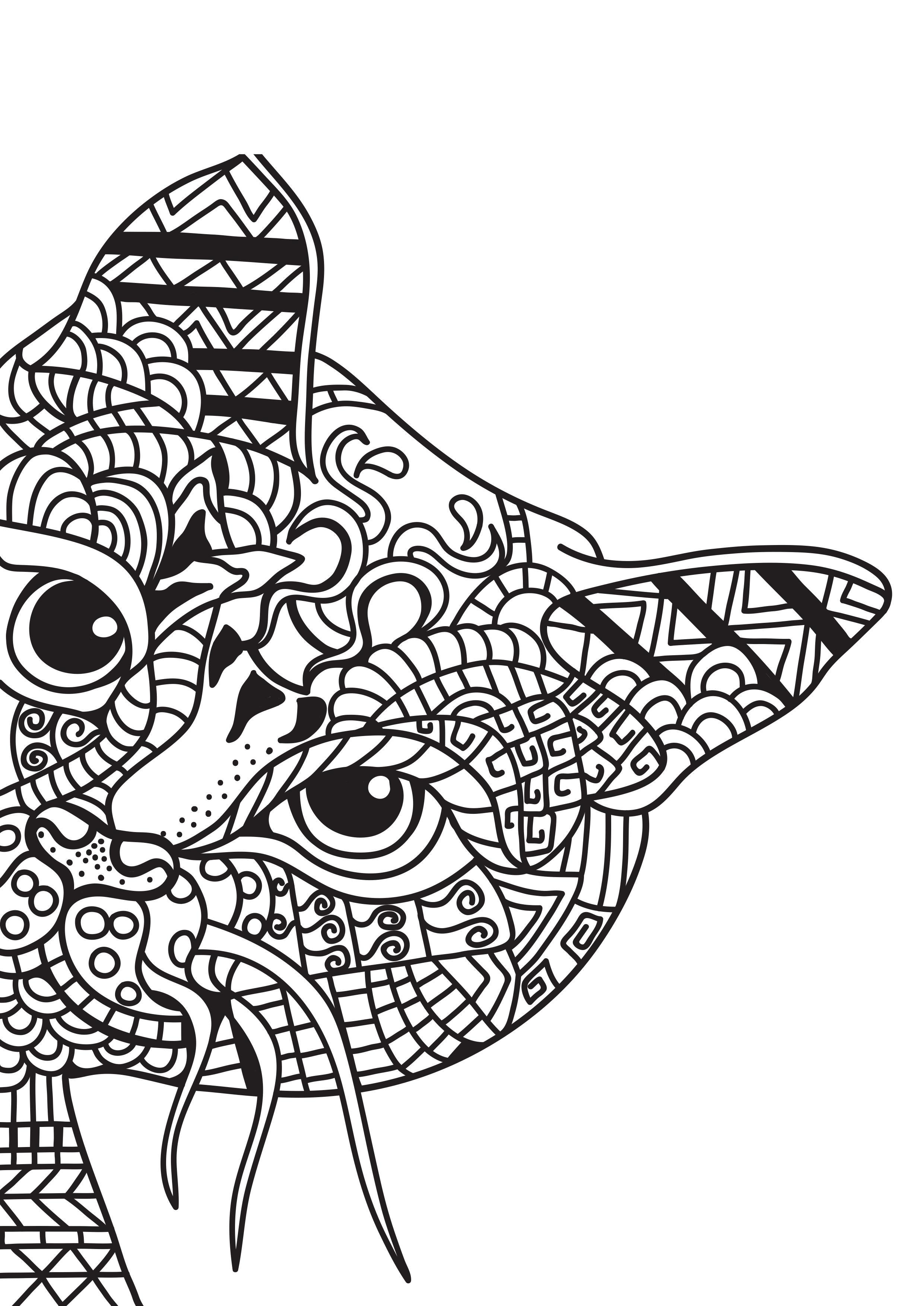 le chat se cache Coloriage le chat se cache