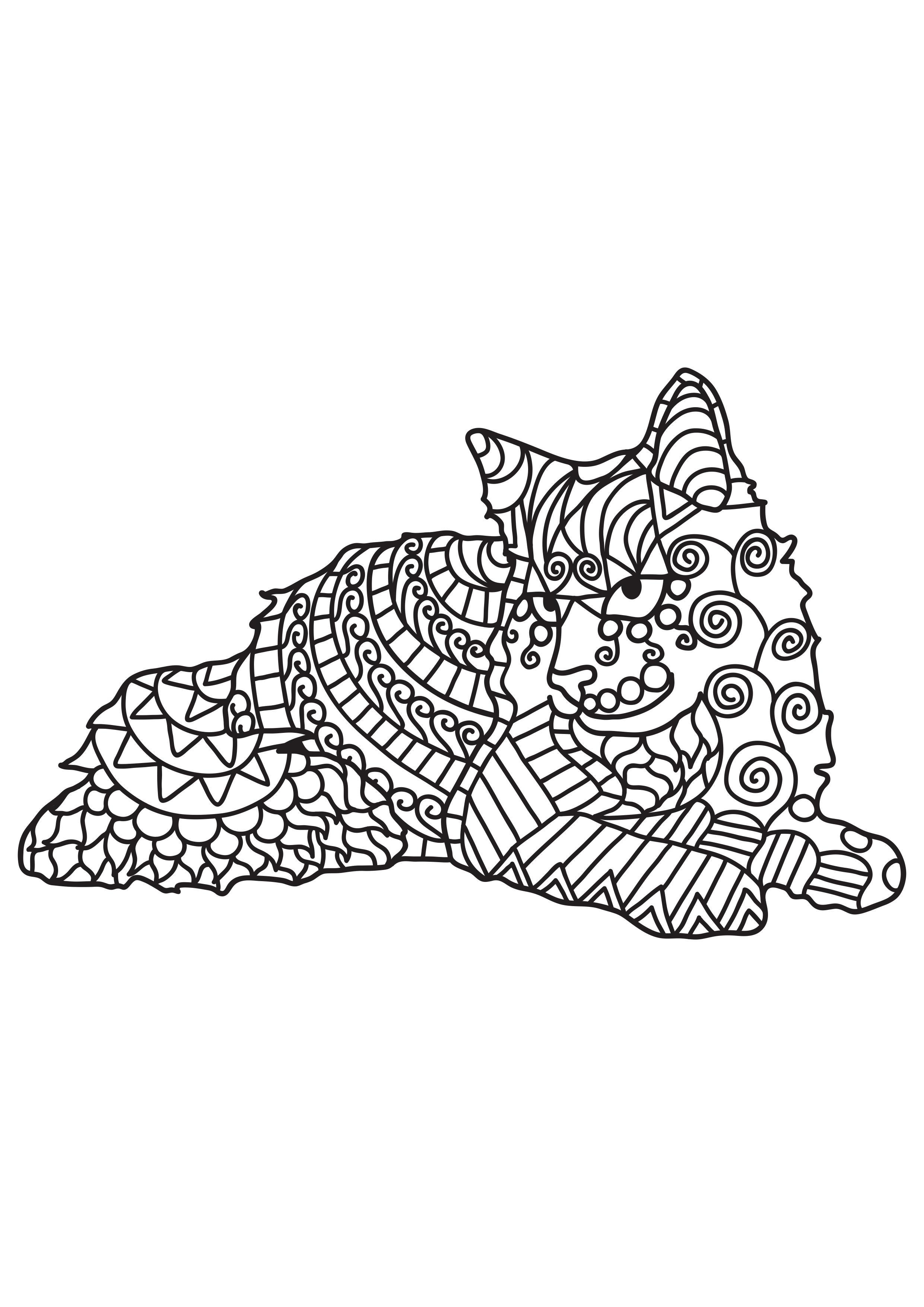 le chat se repose Coloriage le chat se repose
