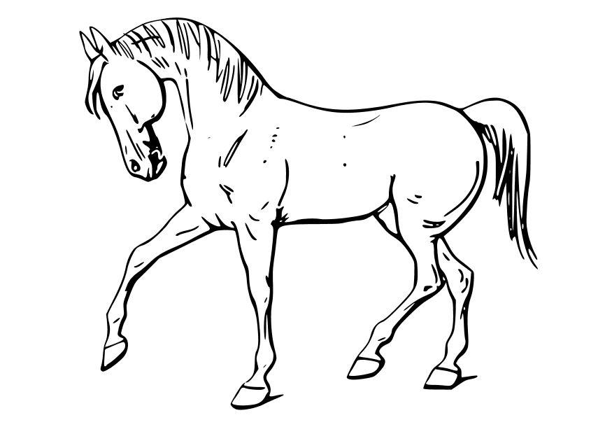 le cheval Coloriage le cheval