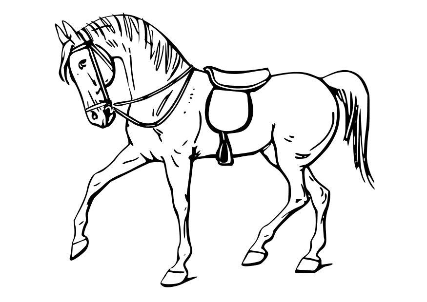 le cheval Coloriage le cheval