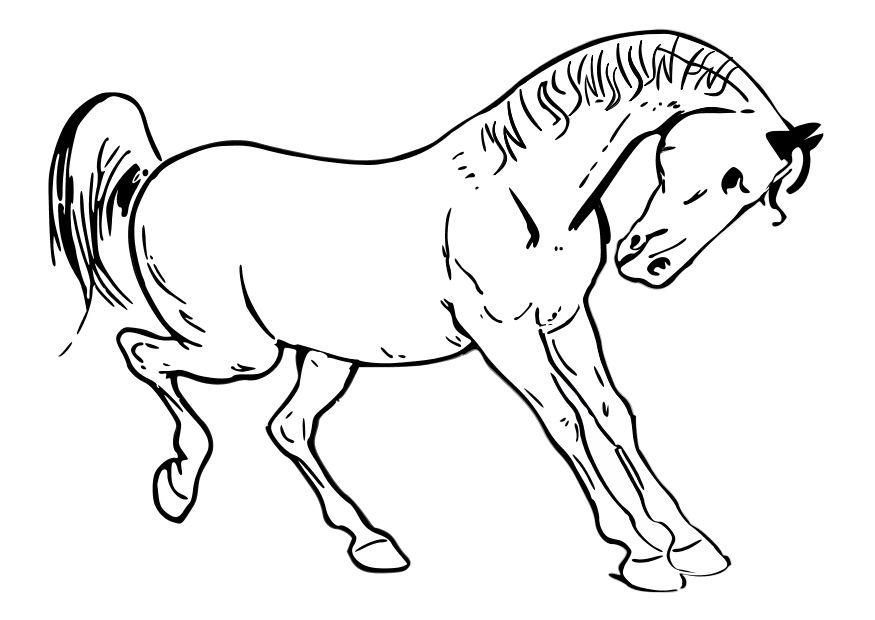 le cheval Coloriage le cheval