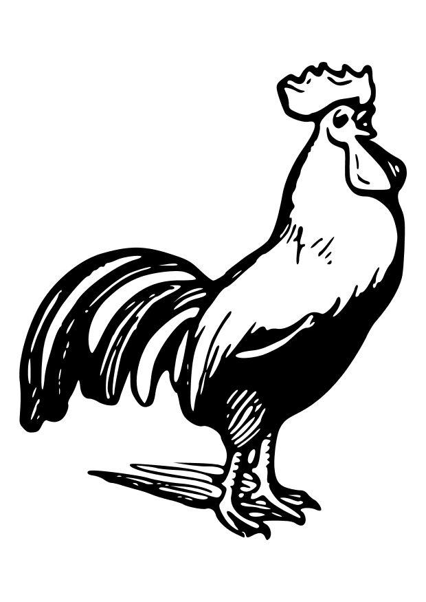 le coq Coloriage le coq