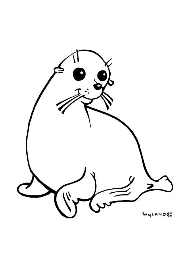 le foque Coloriage le foque