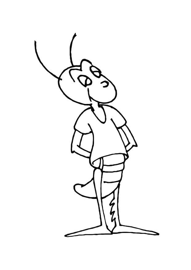 le grillon Coloriage le grillon