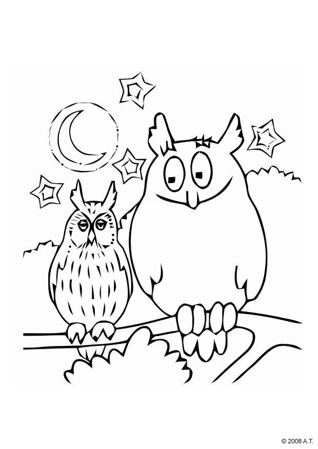 le hibou Coloriage le hibou