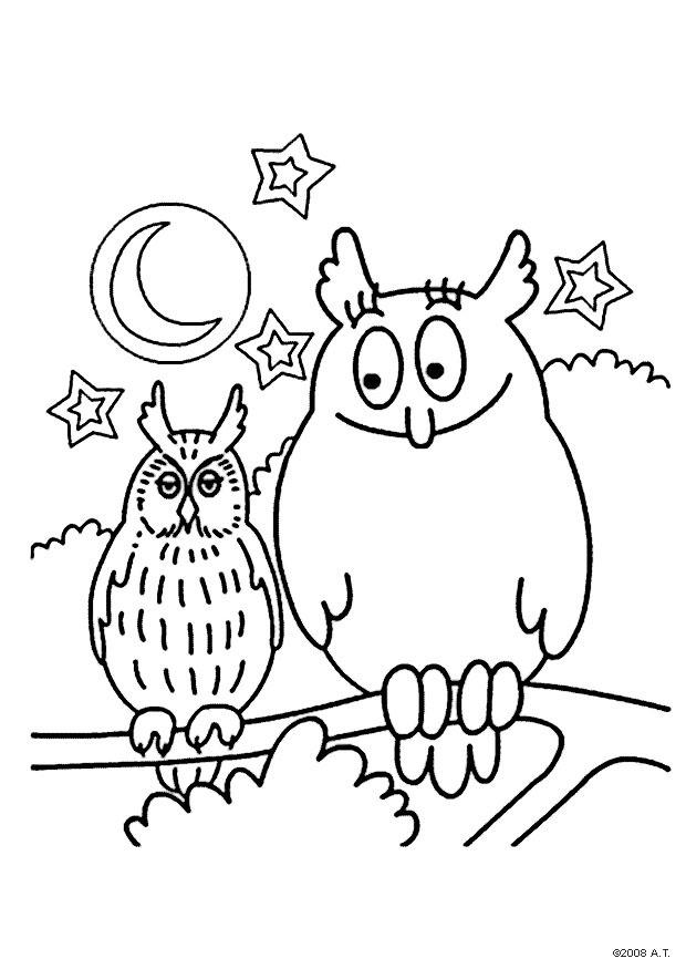 le hibou Coloriage le hibou