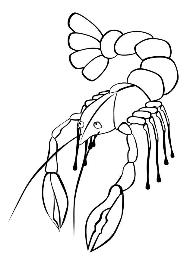 le homard Coloriage le homard