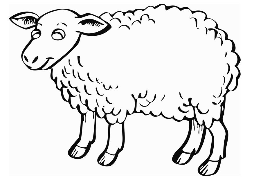 le mouton Coloriage le mouton