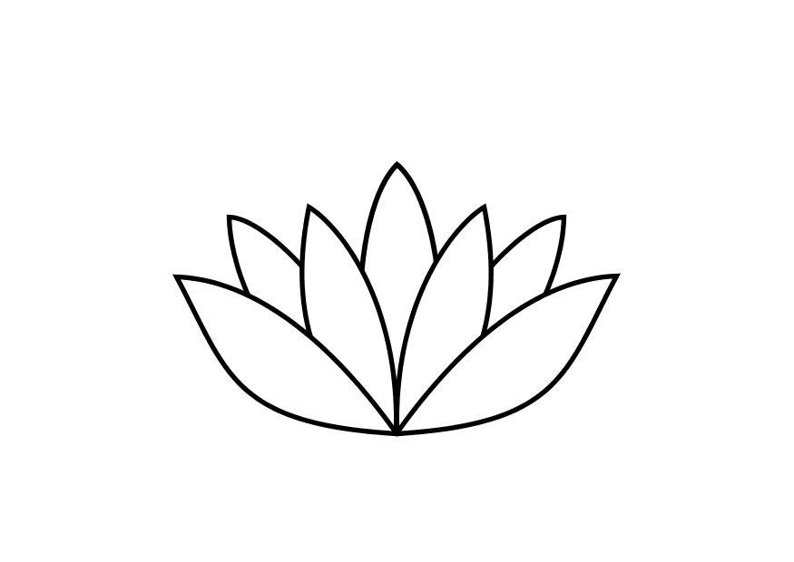 le nA©nuphar Coloriage le nA©nuphar