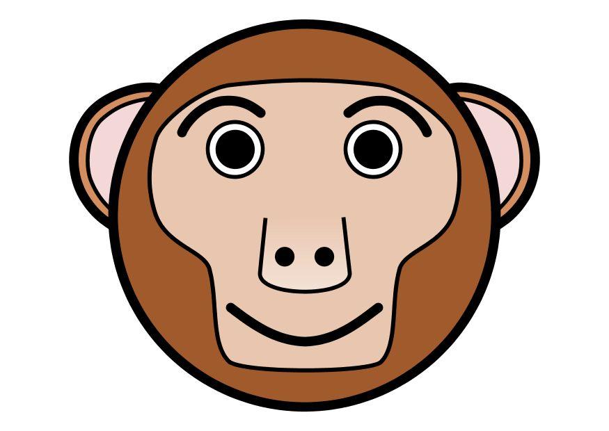 le singe Image le singe