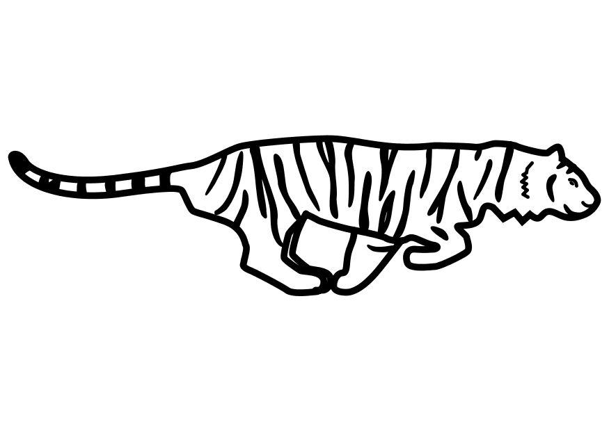 le tigre marche Coloriage le tigre marche