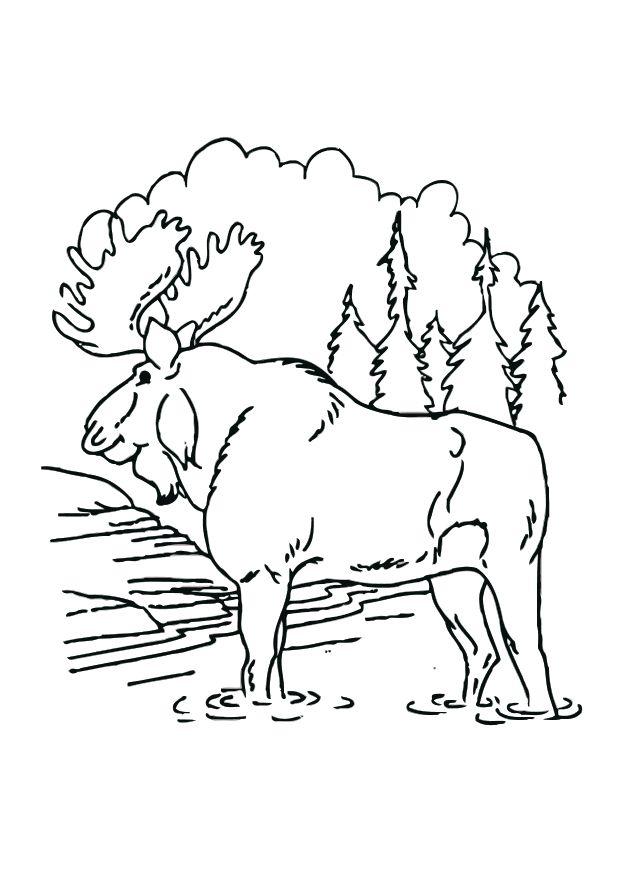 lA©land Coloriage lA©land