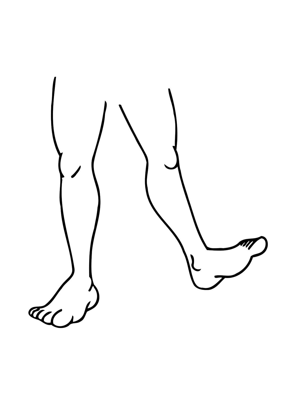 les jambes Coloriage les jambes