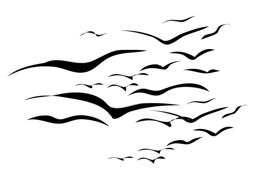 les oiseaux Coloriage les oiseaux