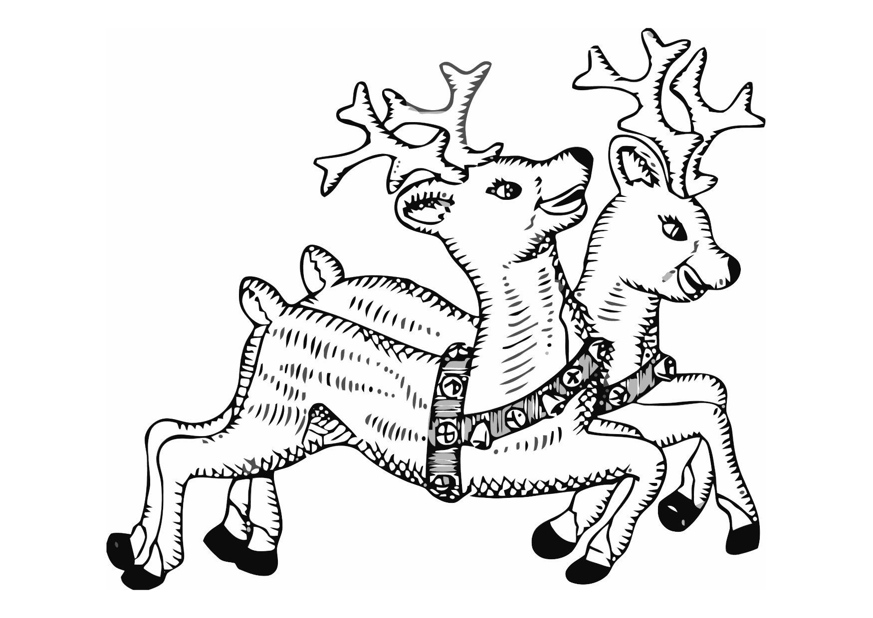 les rennes Coloriage les rennes