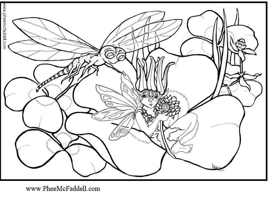 libellule Coloriage libellule