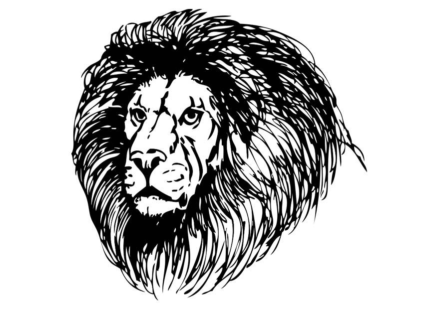 lion Coloriage lion