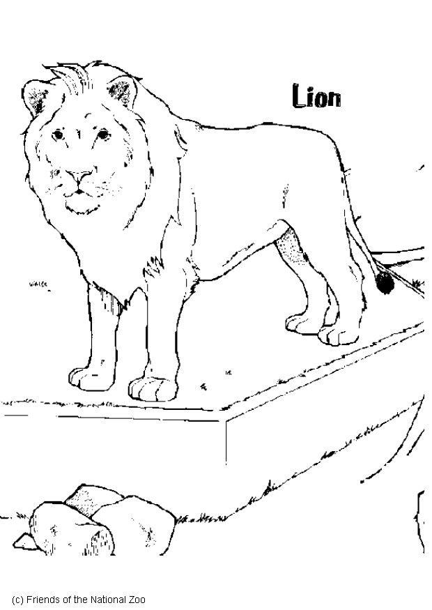 lion Coloriage lion