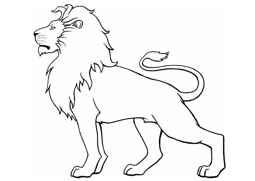 lion Coloriage lion