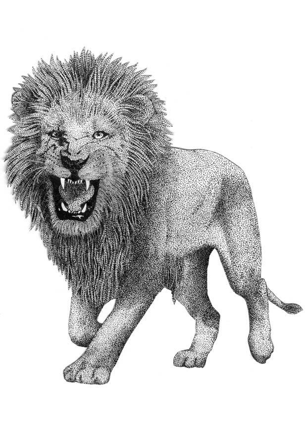 lion Coloriage lion