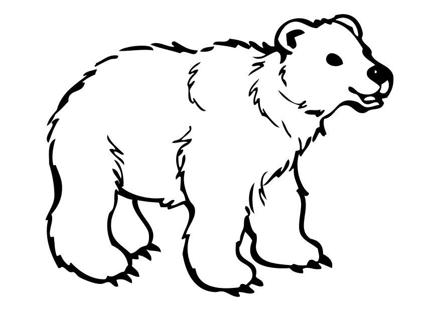 lours Coloriage lours