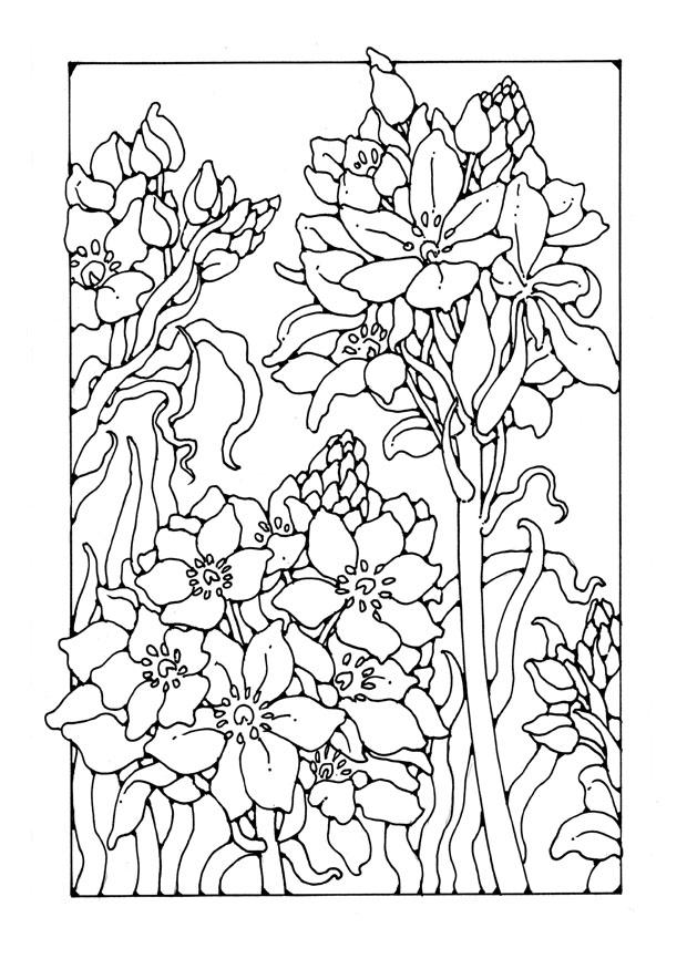 lys Coloriage lys