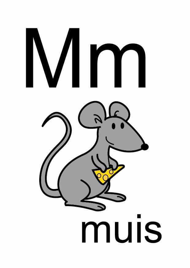 m Image m