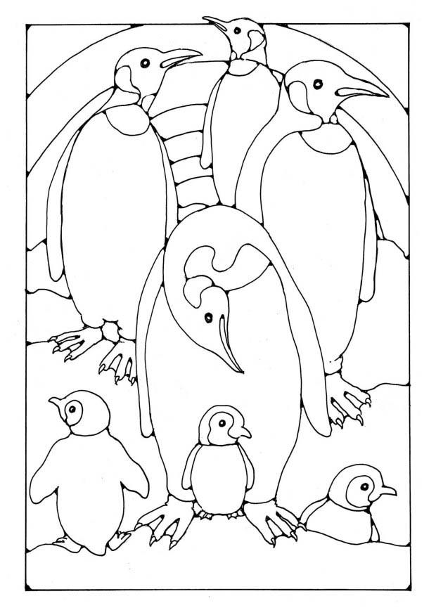 manchots Coloriage manchots