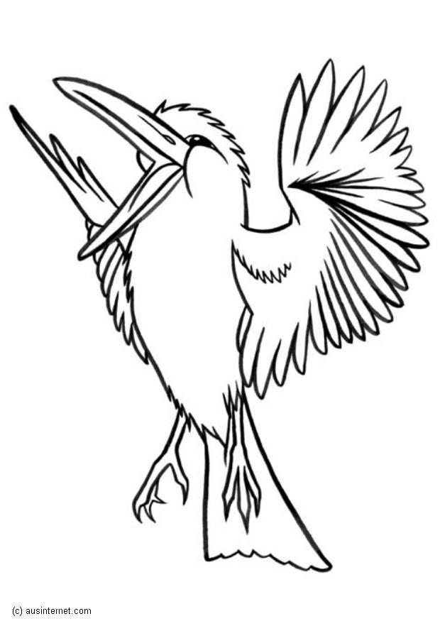 martin-chasseur gA©ant Coloriage martin-chasseur gA©ant