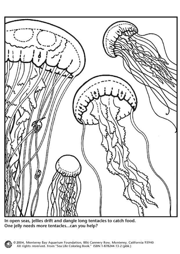 mA©duses Coloriage mA©duses