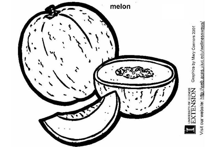 melon Coloriage melon
