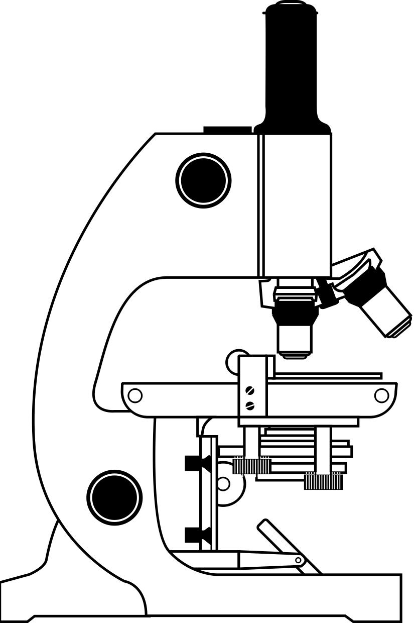 miscroscope Coloriage miscroscope
