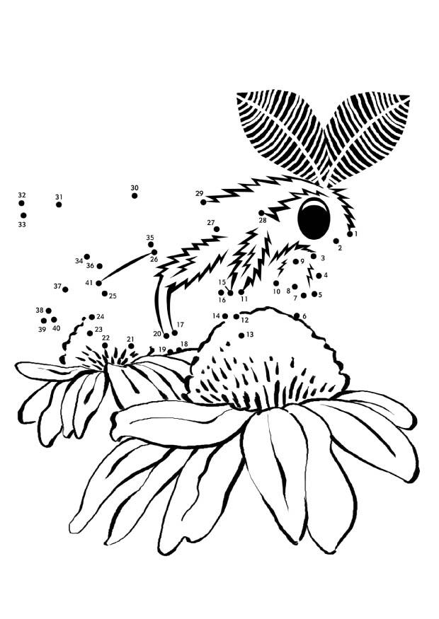 mite Coloriage mite
