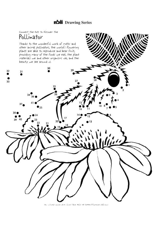 mite Coloriage mite