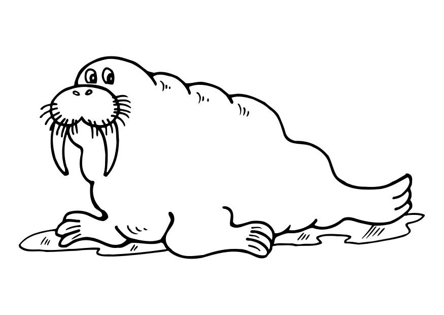 morse Coloriage morse
