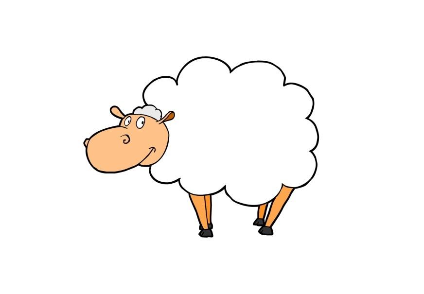 mouton Image mouton