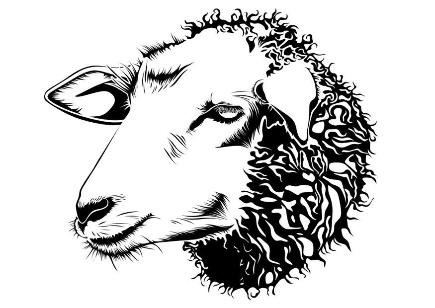 mouton Coloriage mouton