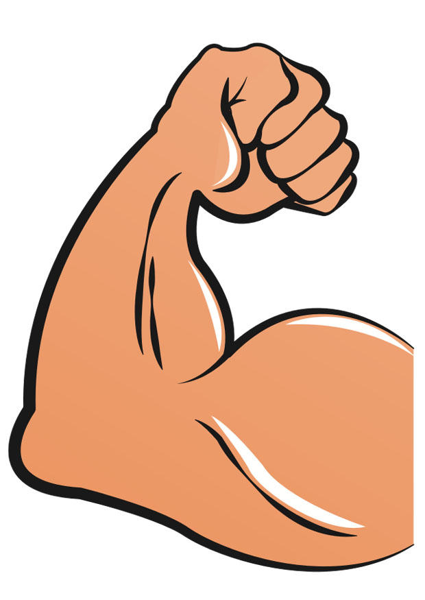 musclA© Image musclA©