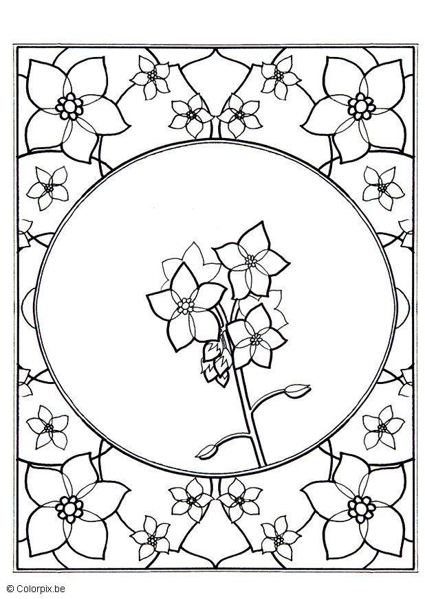myosotis Coloriage myosotis
