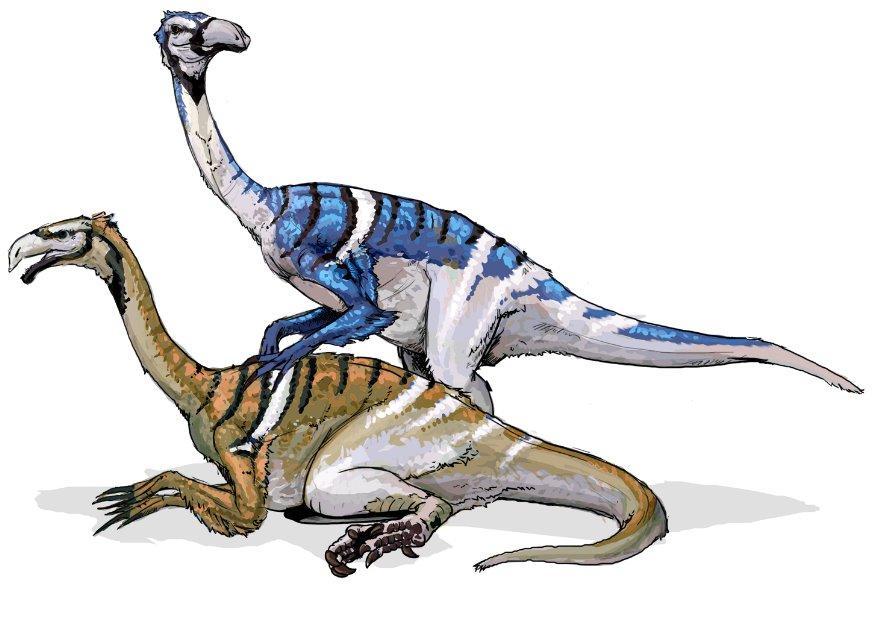 nanshiungosaurus Image nanshiungosaurus
