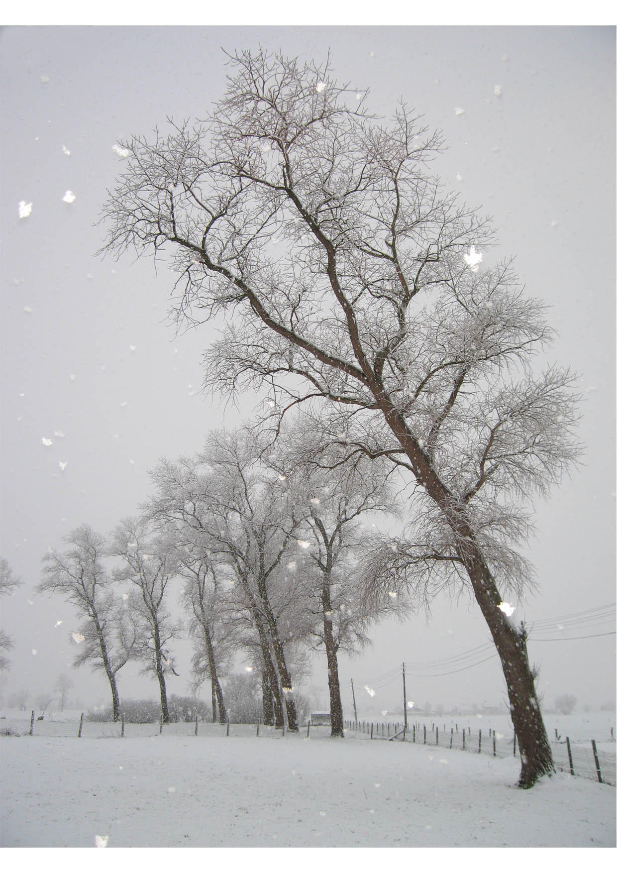 neige - paysage enneigA© Photo neige - paysage enneigA©