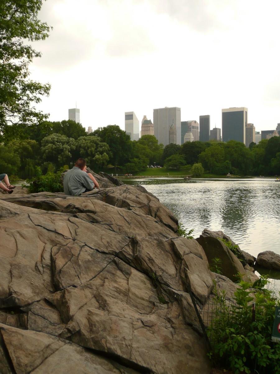 new york - central park Photo new york - central park