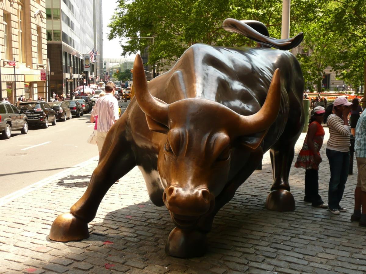 new york - wall street bull Photo new york - wall street bull