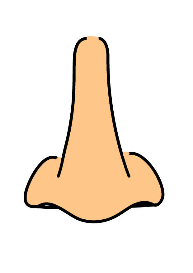 nez Image nez