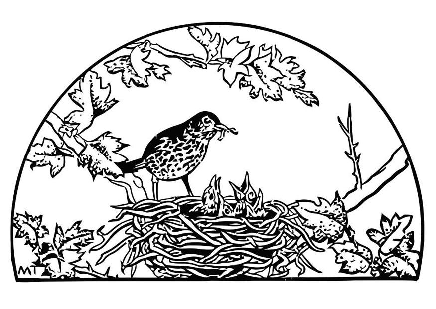 nid doiseau Coloriage nid doiseau