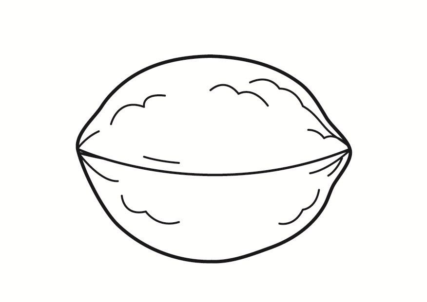noix Coloriage noix