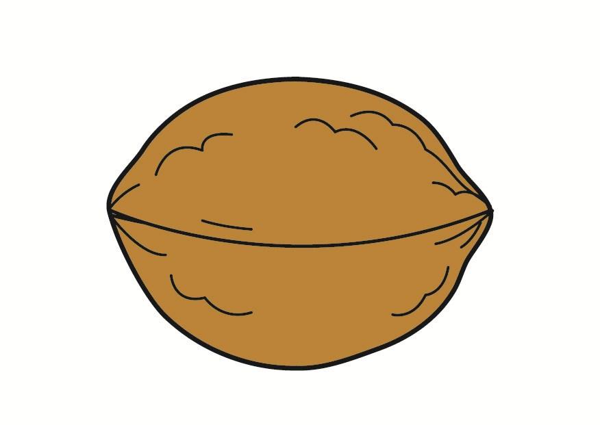 noix Image noix