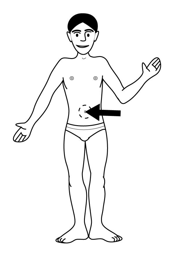 nombril Coloriage nombril